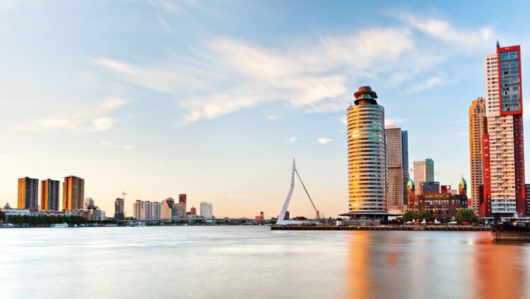 Consultancy in Rotterdam